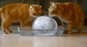 微信圖片_20190911113736.gif