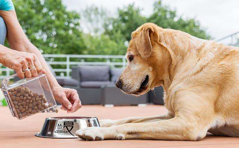 大型犬吃什么狗糧好，適合大型犬的國產(chǎn)狗糧推薦