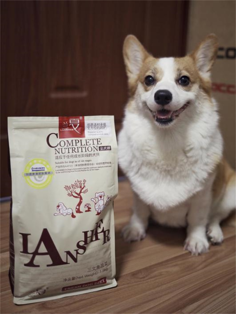 柯基幼犬吃蘭夏狗糧比較好?。壳笸扑]